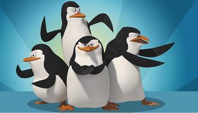 Nuotr. Madagaskaro pingvinai